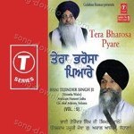 Tera Bharosa Pyare (Vol. 5) - Bhai Tajinder Singh Ji-Shimla Wale Song Download