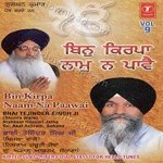Bin Kirpa Naam Na Paav (Vol. 9) - Bhai Tajinder Singh Ji-Shimla Wale Song Download